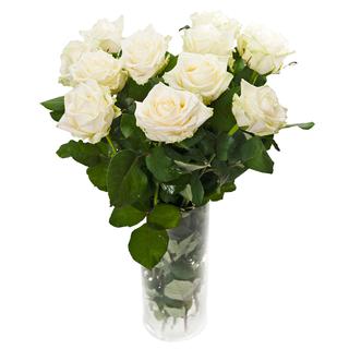 Pikk , suureõieline valge  roos