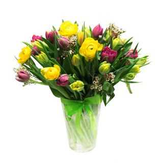 Kevadine tuulehoog K7A